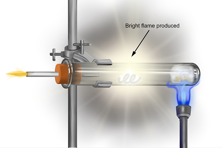 Magnesium will burn with a bright flame 